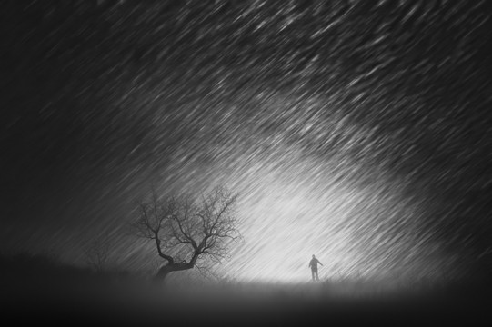 夜幕风雨树男人奔跑