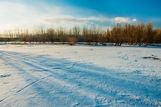 雪地