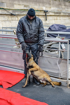 巴黎警察与警犬