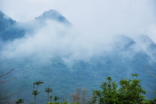 雾色山景