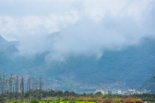 雾色山景