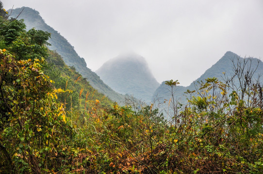 雾色山景