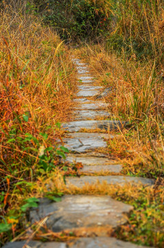 山岭古道