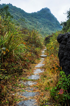 山岭古道