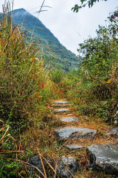 山岭古道