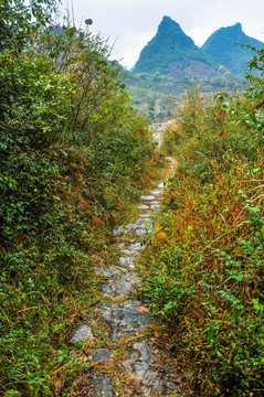 山岭古道