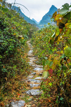 山岭古道