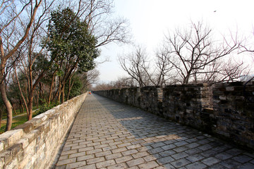 南京老照片 明代城墙