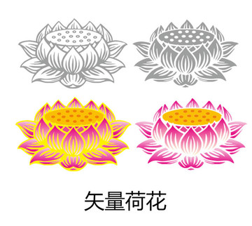 矢量荷花蓮花