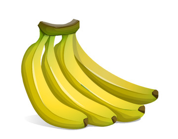 矢量香蕉热带水果