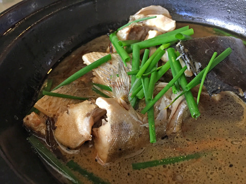 魚煲
