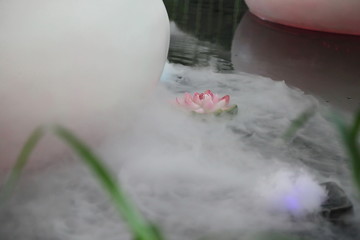 莲花池上的缥缈水雾
