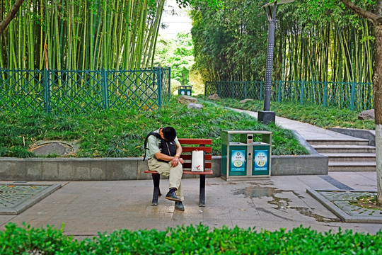 城市绿化