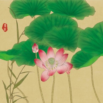 工笔画荷花 无框画 PSD