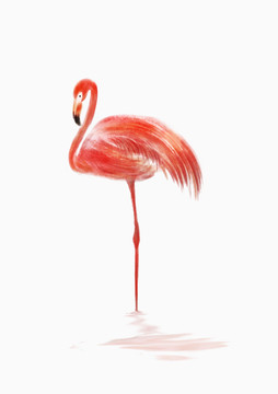 火烈鳥無框畫