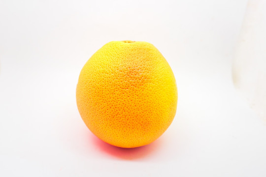 橙子 血橙