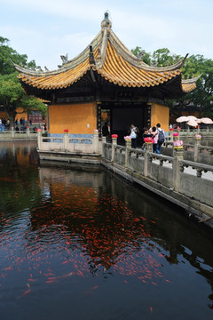 普陀山 普济禅寺 定香亭