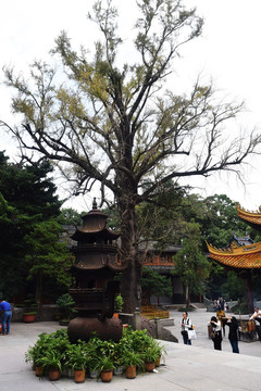 普陀山 法雨禅寺