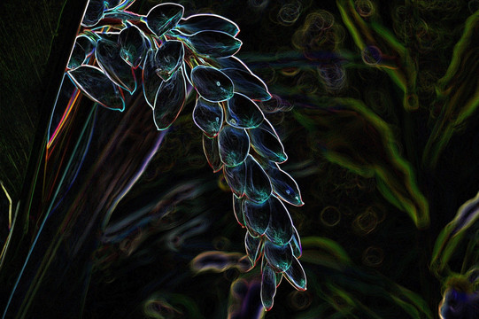 花朵背景 底紋 植物 花 花卉
