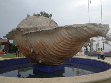 雕塑 海螺