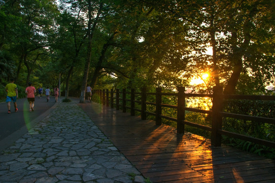 夕阳下的环湖路