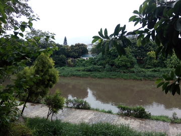 河畔风景