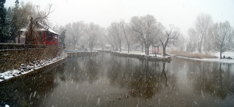 公园雪景