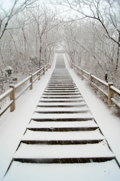 雪景台阶