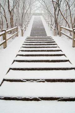 雪景台阶