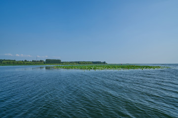 微山湖风光