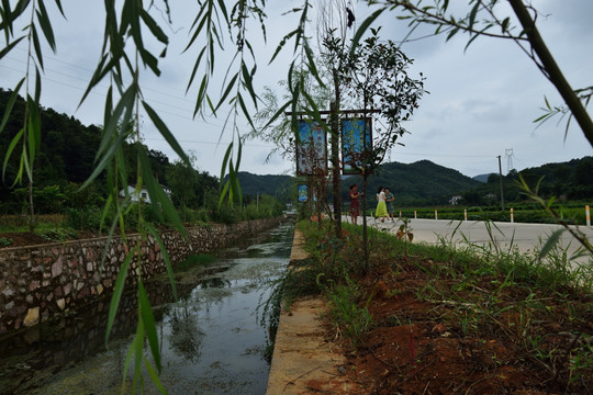 沟 山洪沟 乡村路 水泥路