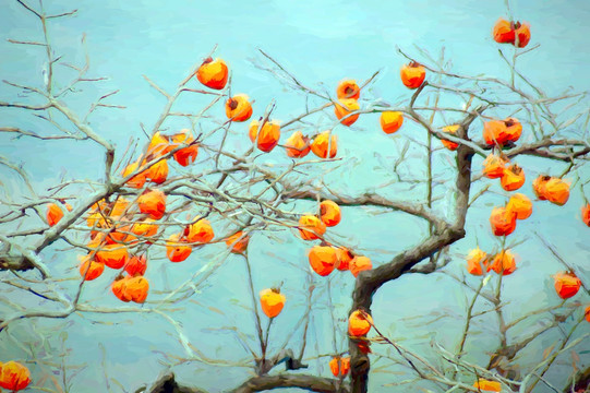 柿子油畫