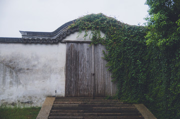 古建筑和爬山虎