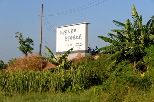 农田风景