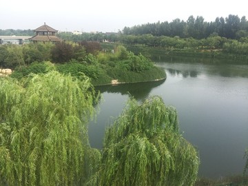 汉 西安 湖泊 遗址 汉城湖
