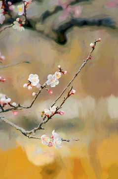 杏花裝飾畫(huà)