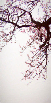 杏花裝飾畫
