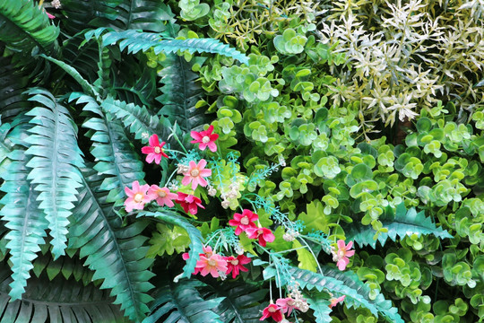 仿真植物墙