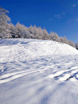 雾凇岛风光 冬季雾凇 冬雪美景