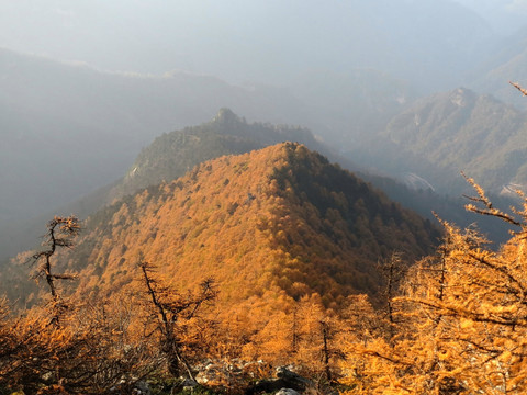 金色太白山