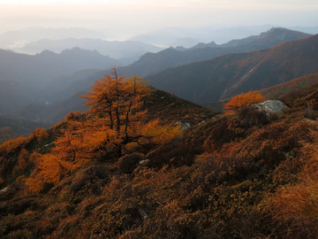 太白山秋景