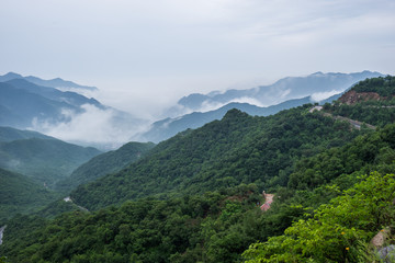 松山保护区