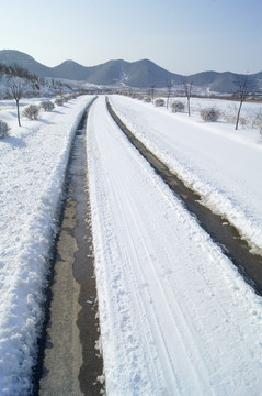 雪景车辙印