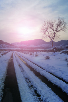 雪景车辙印