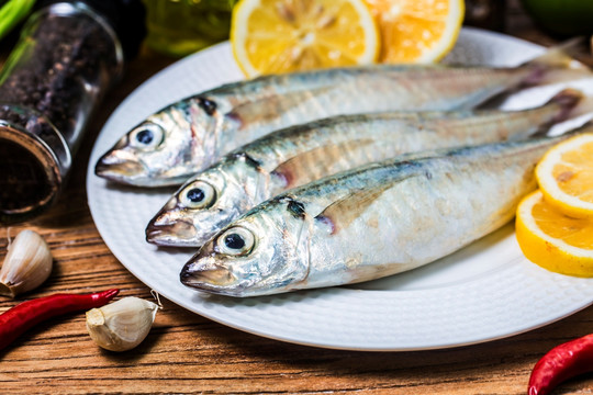 鯖魚