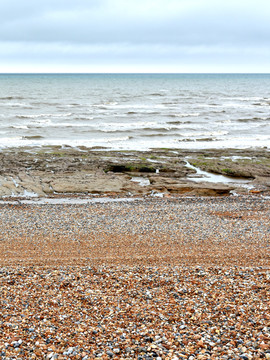 海滩泥巴 海滩污染 海污染