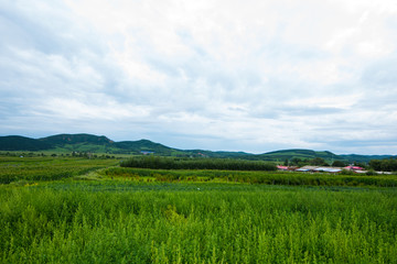 远山风光