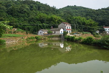 乡村 乡村一景