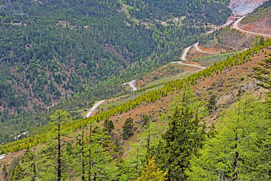 盘山路