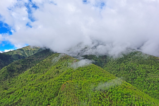 高山